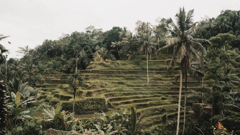 Best Time to Book Flights to Bali