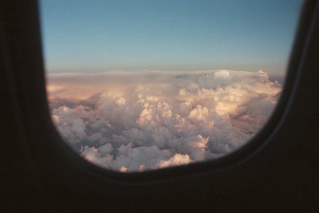 how much do domestic flights cost